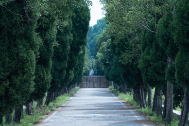 林间水泥路