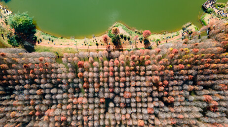 昆明海洪湿地公园