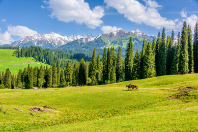 中国新疆伊犁库尔德宁齐梦德风光