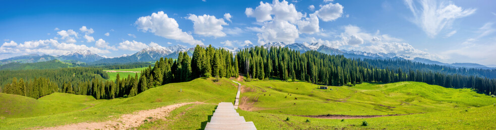 中国新疆伊犁库尔德宁齐梦德风光