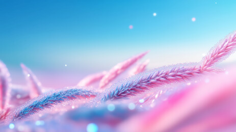 金秋白露时节美丽风景
