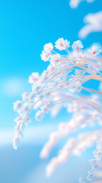 霜降时节田野风景