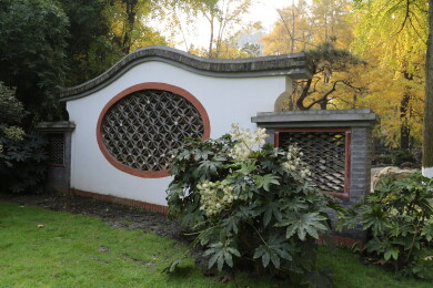 四川成都百花潭公园秋天景色