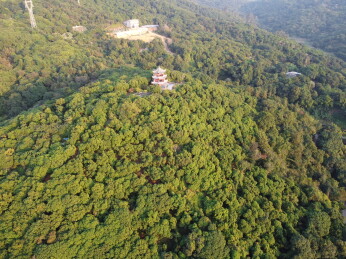 广东东莞：大王山森林公园
