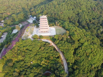 广东东莞：大王山森林公园