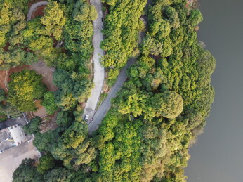 广东东莞：大王山森林公园