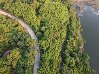 广东东莞：大王山森林公园