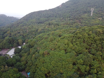 广东东莞：大王山森林公园