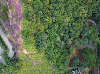 广东东莞：大王山森林公园