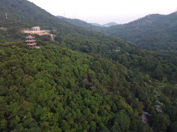 广东东莞：大王山森林公园