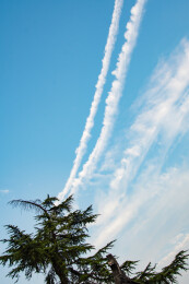 古建与雪松，天空飞机划过留下的痕迹