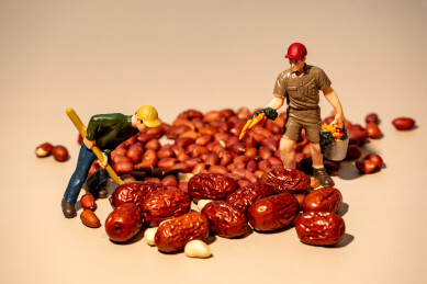 农业农耕丰收场景