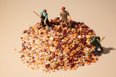 农业农耕丰收场景