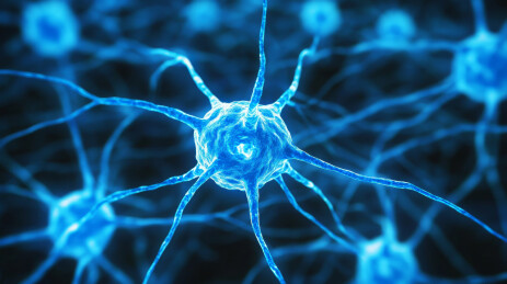 区块链虚拟币比特币