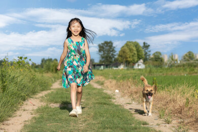 小狗跟着小女孩走在乡间田野里