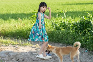 小狗跟着小女孩走在乡间田野里