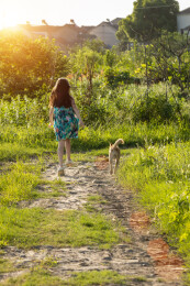 带着小狗走在乡间小路上的小女孩背影