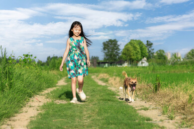 小狗跟着小女孩走在乡间田野里