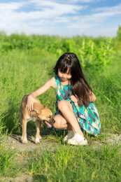 田野里小女孩和宠物小狗