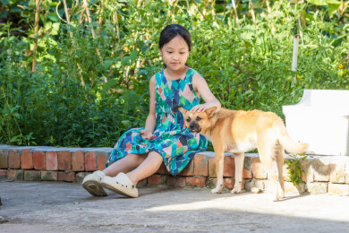 户外坐在地上喂小狗的小女孩