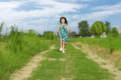 小狗跟着小女孩走在乡间田野里