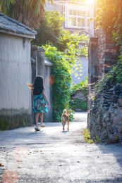 带着小狗走在乡间小路上的小女孩背影