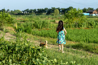 带着小狗走在乡间小路上的小女孩背影