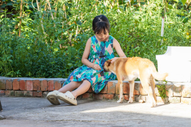 户外坐在地上喂小狗的小女孩