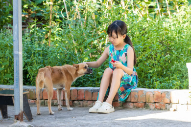 户外坐在地上喂小狗的小女孩