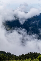 中国湖北神农架神农顶景区风光