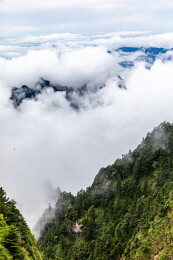 中国湖北神农架神农顶景区风光