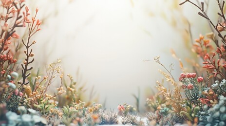 梦幻花海中的宁静时光