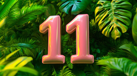 双十一11立体建模数字植物电商壁纸背景