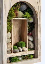 木框装饰画，苔藓和石头