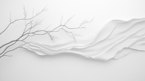 白色背影上的树枝与白色丝绸飘带