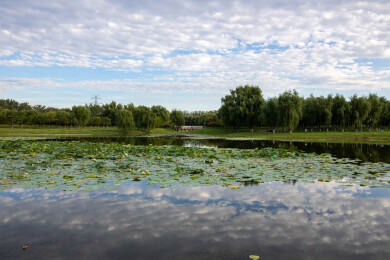 北京昌平滨河森林公园蓝天白云湖水大树