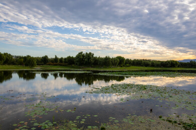 北京滨河森林公园