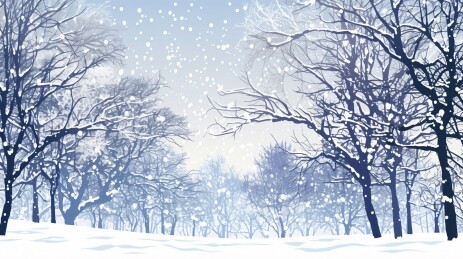 冬季传统节气风景雪中的公园中的树林