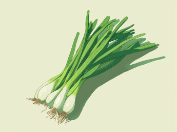 卡通蔬菜 小葱