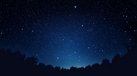 璀璨星空下的宁静森林