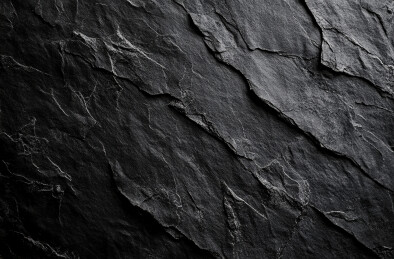 黑色背景下的苔藓全帧拍摄