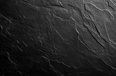 黑色背景下的苔藓全帧拍摄