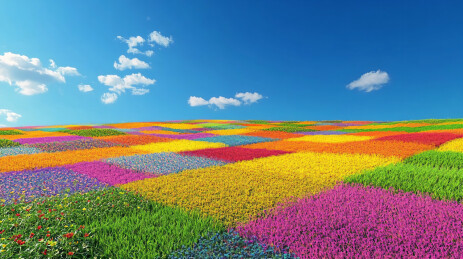 彩色梦幻草地场景