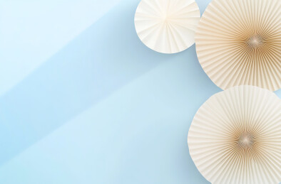 蓝色背景上贝壳的高角度视图