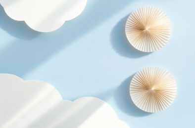 蓝色背景上贝壳的高角度视图