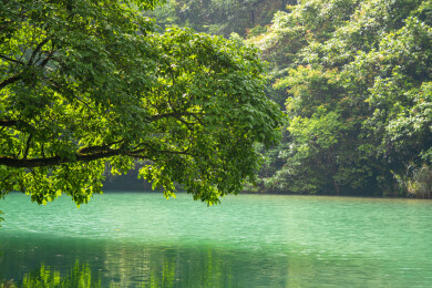 中国贵州省黔南荔波小七孔风景区卧龙潭