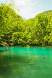 中国贵州省黔南荔波小七孔风景区