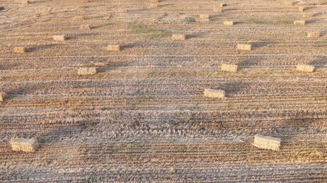 中国新疆巴里坤：打捆秸秆，麦地风景