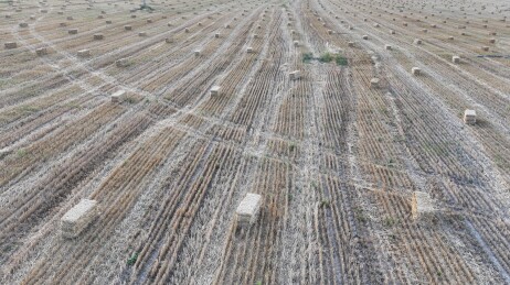 中国新疆巴里坤：打捆秸秆，麦地风景