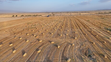 中国新疆巴里坤：打捆秸秆，麦地风景